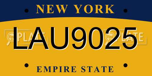 LAU9025 New York License Plate