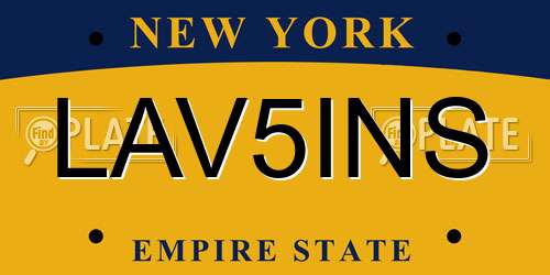 LAV5INS New York License Plate
