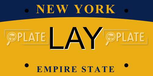 LAY New York License Plate
