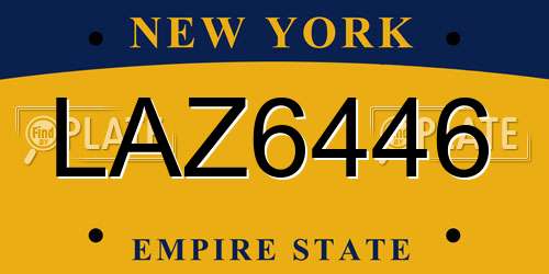 LAZ6446 New York License Plate