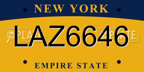 LAZ6646 New York License Plate