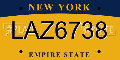 LAZ6738 New York License Plate