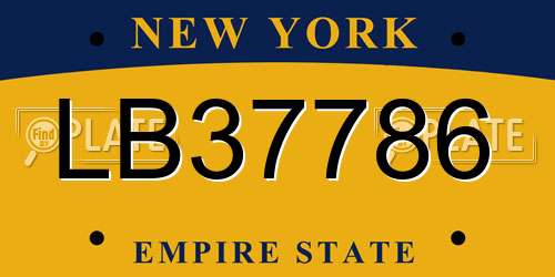 LB37786 New York License Plate