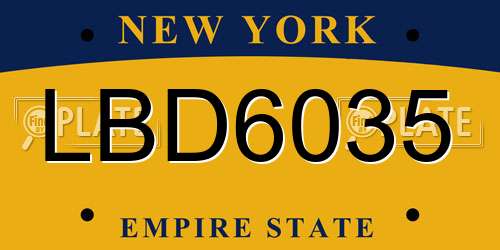 LBD6035 New York License Plate
