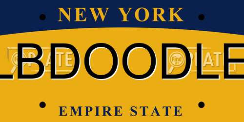LBDOODLE New York License Plate