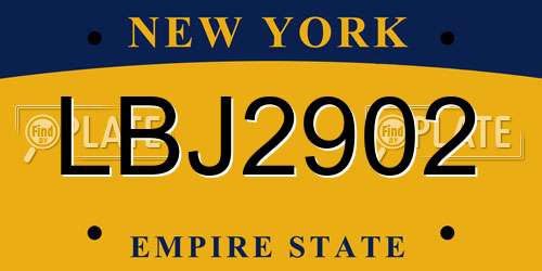LBJ2902 New York License Plate