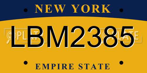 LBM2385 New York License Plate