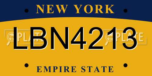 LBN4213 New York License Plate