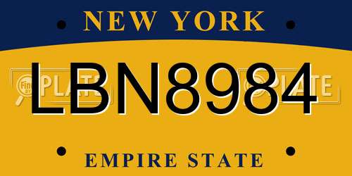LBN8984 New York License Plate