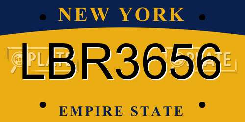 LBR3656 New York License Plate