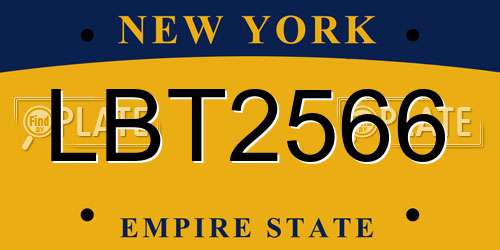 LBT2566 New York License Plate