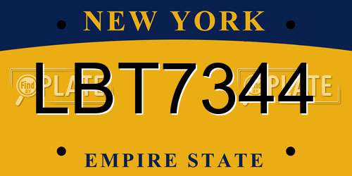 LBT7344 New York License Plate