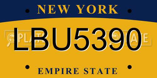 LBU5390 New York License Plate