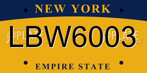 LBW6003 New York License Plate