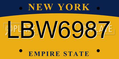 LBW6987 New York License Plate