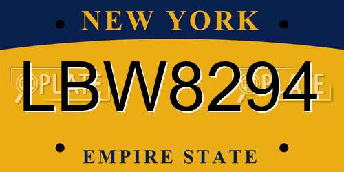 LBW8294 New York License Plate