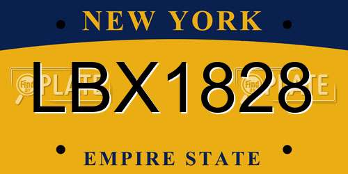 LBX1828 New York License Plate