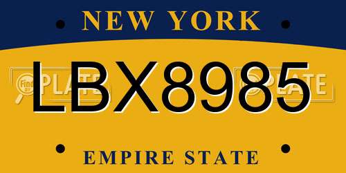 LBX8985 New York License Plate