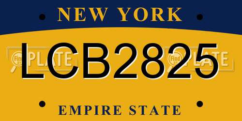LCB2825 New York License Plate