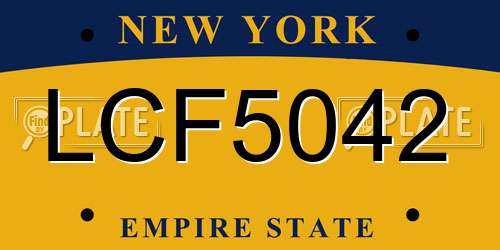 LCF5042 New York License Plate