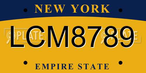 LCM8789 New York License Plate