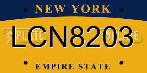 LCN8203 New York License Plate