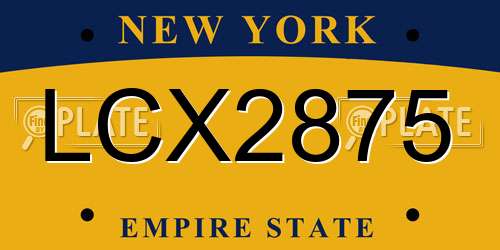 LCX2875 New York License Plate