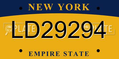 LD29294 New York License Plate