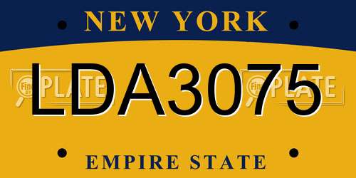 LDA3075 New York License Plate