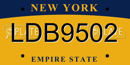 LDB9502 New York License Plate
