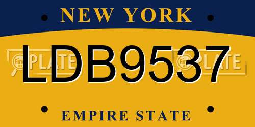 LDB9537 New York License Plate