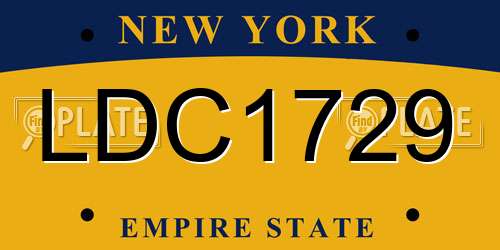 LDC1729 New York License Plate
