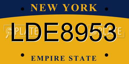 LDE8953 New York License Plate