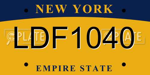 LDF1040 New York License Plate