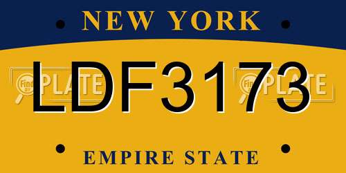 LDF3173 New York License Plate