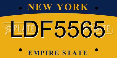 LDF5565 New York License Plate