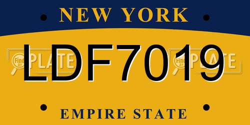 LDF7019 New York License Plate