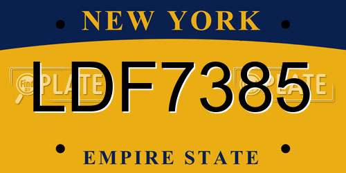 LDF7385 New York License Plate