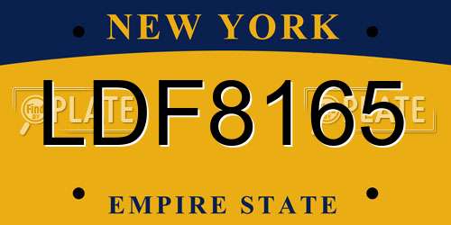 LDF8165 New York License Plate