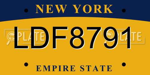 LDF8791 New York License Plate