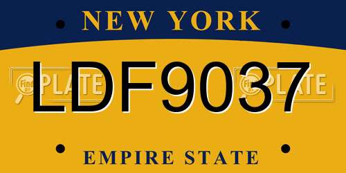 LDF9037 New York License Plate