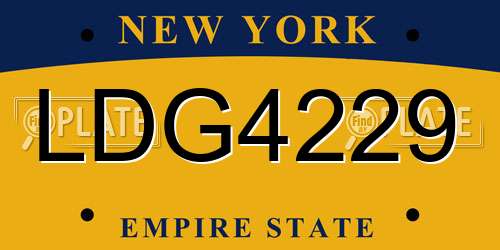 LDG4229 New York License Plate