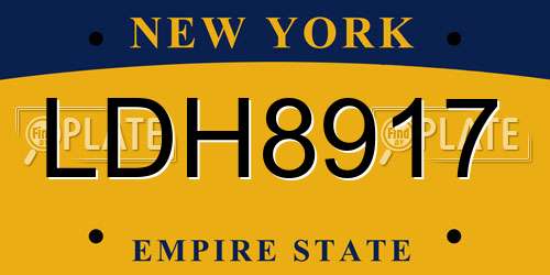 LDH8917 New York License Plate