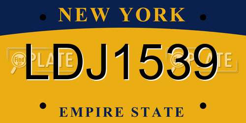 LDJ1539 New York License Plate