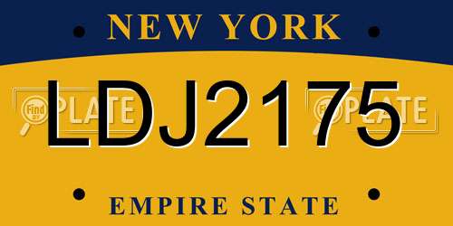 LDJ2175 New York License Plate