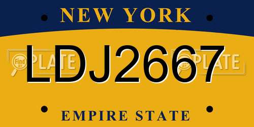 LDJ2667 New York License Plate