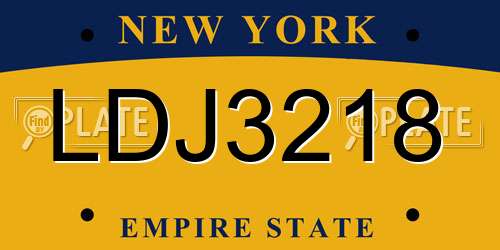LDJ3218 New York License Plate