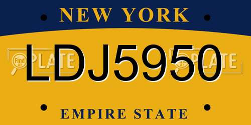 LDJ5950 New York License Plate