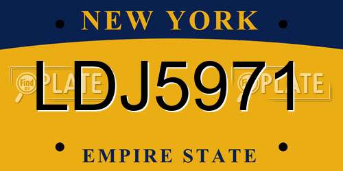 LDJ5971 New York License Plate