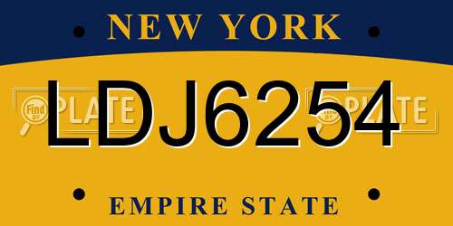 LDJ6254 New York License Plate